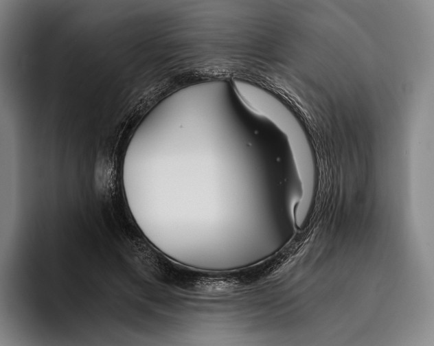 X0000096140597200802151336