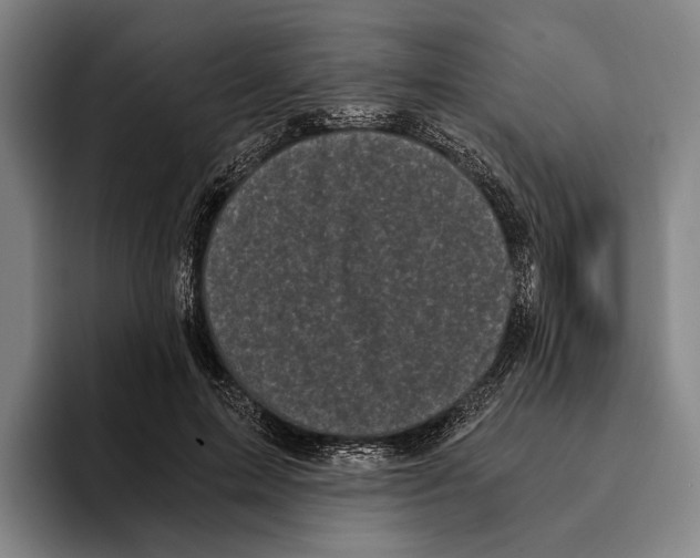 X0000096140599200802151336