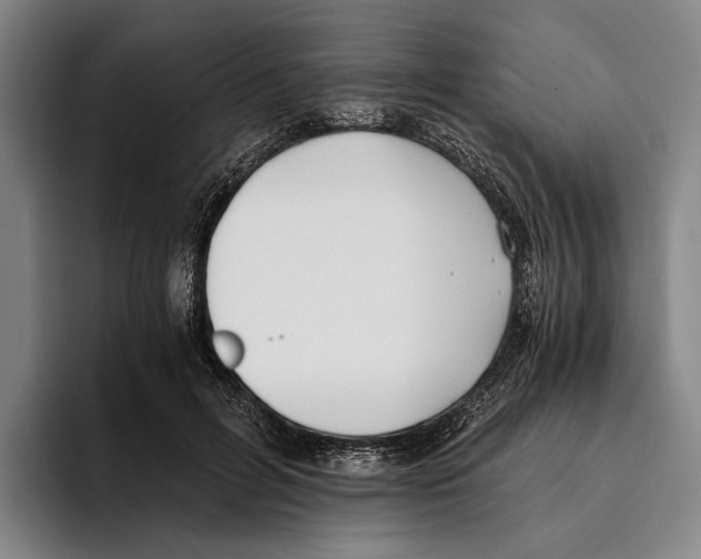 X0000096140600200802151336