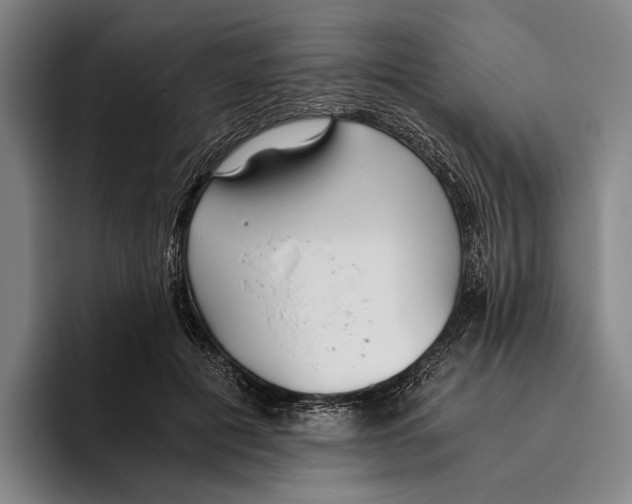 X0000096140601200802151336