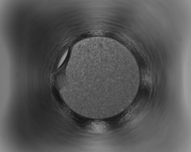 X0000096140603200802151336
