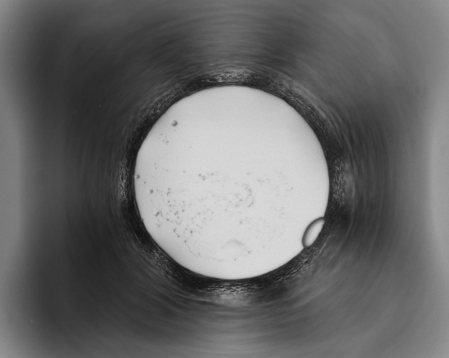 X0000096140604200802151336