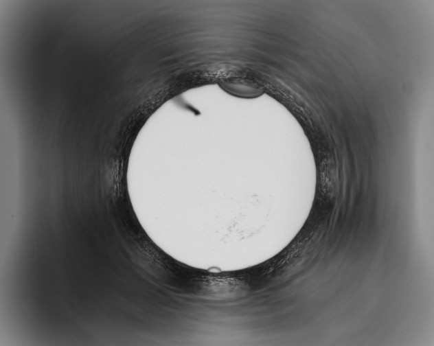 X0000096140605200802151336