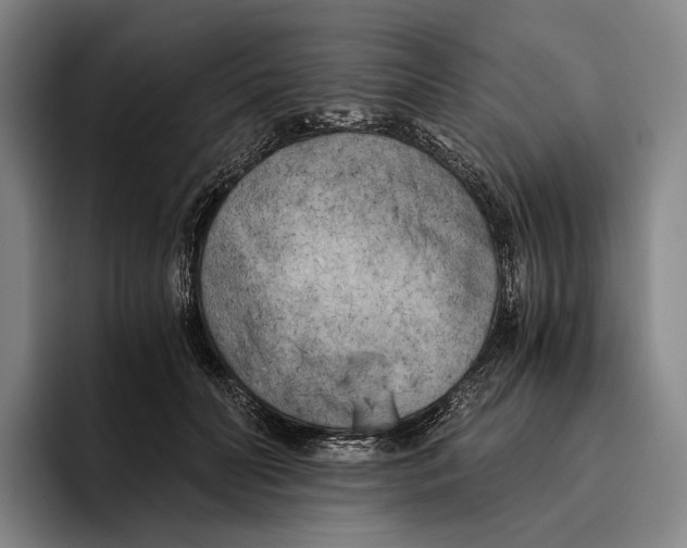 X0000096140606200802151336