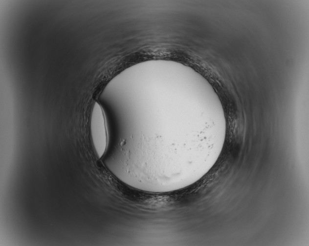 X0000096140609200802151336