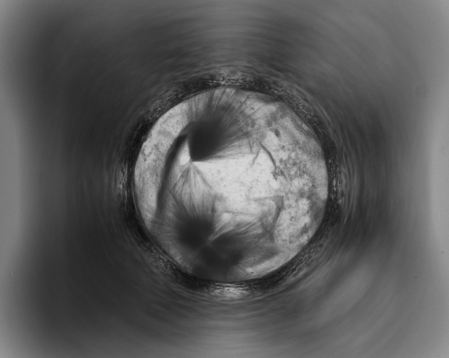 X0000096140610200802151336