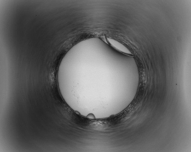 X0000096140611200802151336
