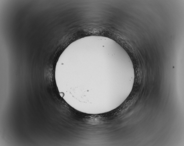 X0000096140612200802151336