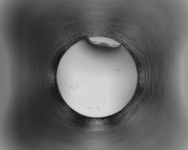 X0000096140613200802151336