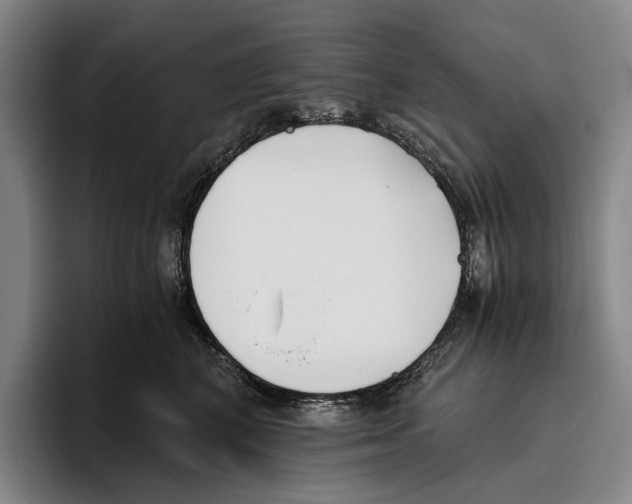 X0000096140616200802151335