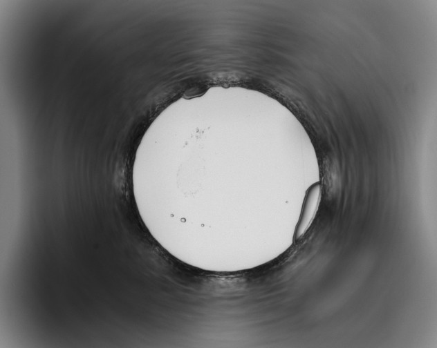X0000096140619200802151335