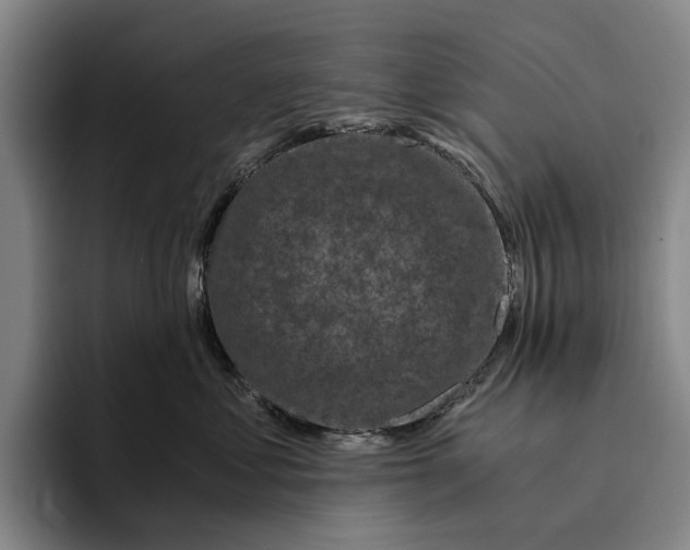 X0000096140621200802151335