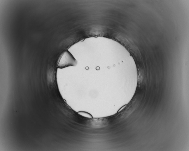 X0000096140623200802151335