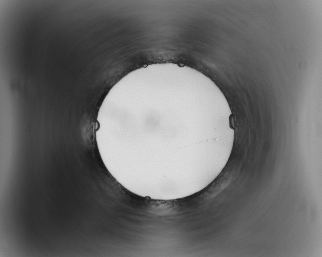 X0000096140624200802151335
