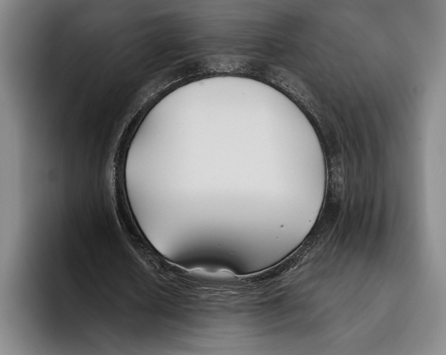 X0000096140626200802151335