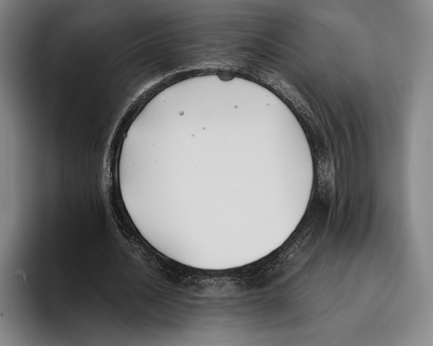 X0000096140628200802151335