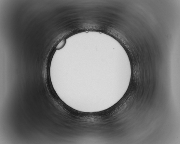 X0000096140629200802151335