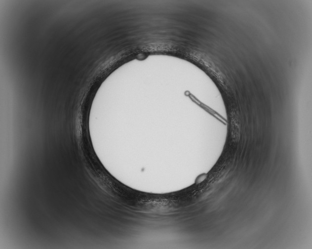 X0000096140631200802151335