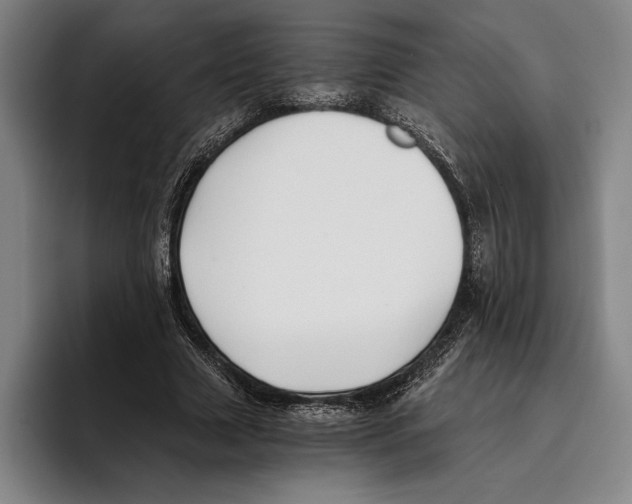 X0000096140633200802151335