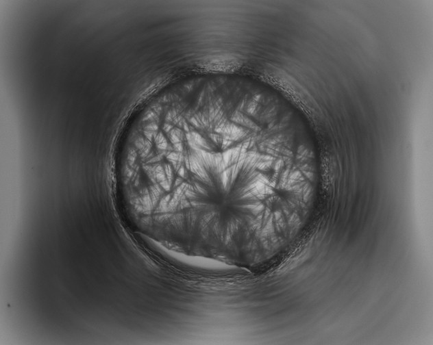 X0000096140634200802151335