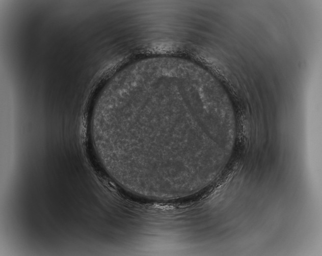 X0000096140640200802151335