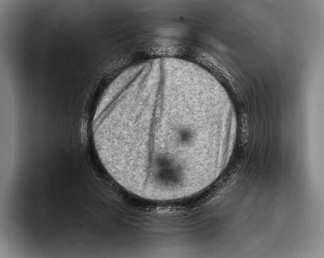 X0000096140641200802151335