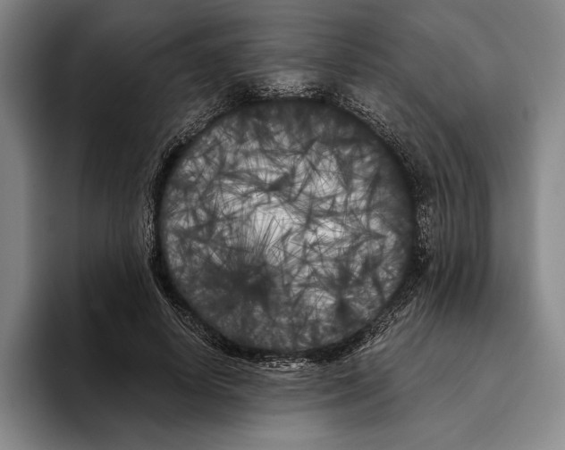 X0000096140642200802151335