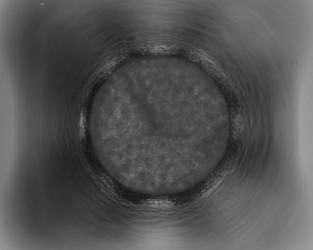 X0000096140644200802151335