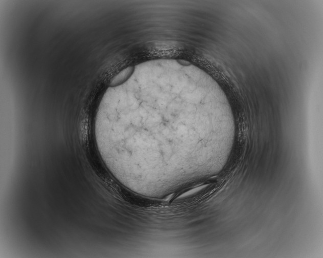 X0000096140647200802151335