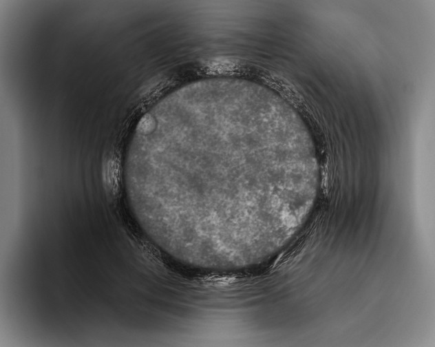 X0000096140648200802151335