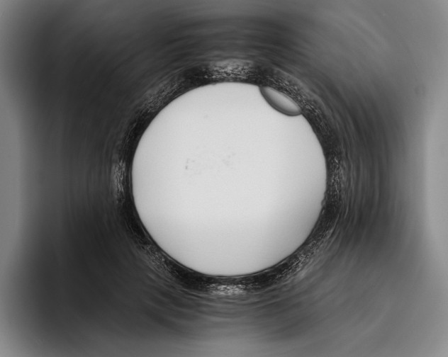 X0000096140649200802151335