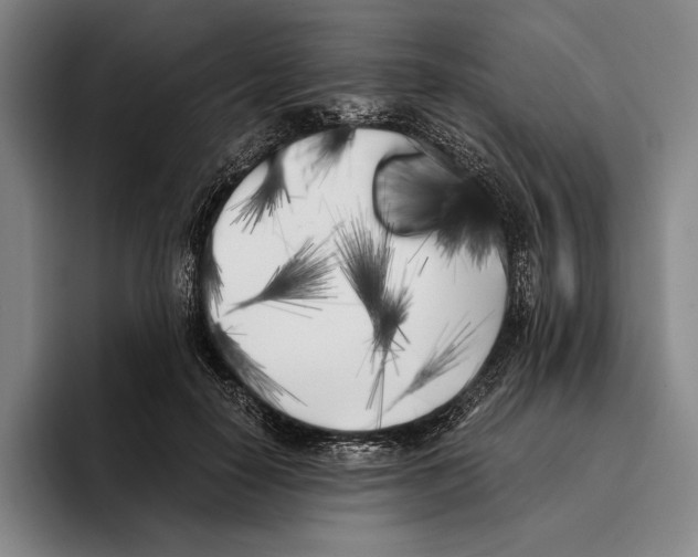 X0000096140650200802151335