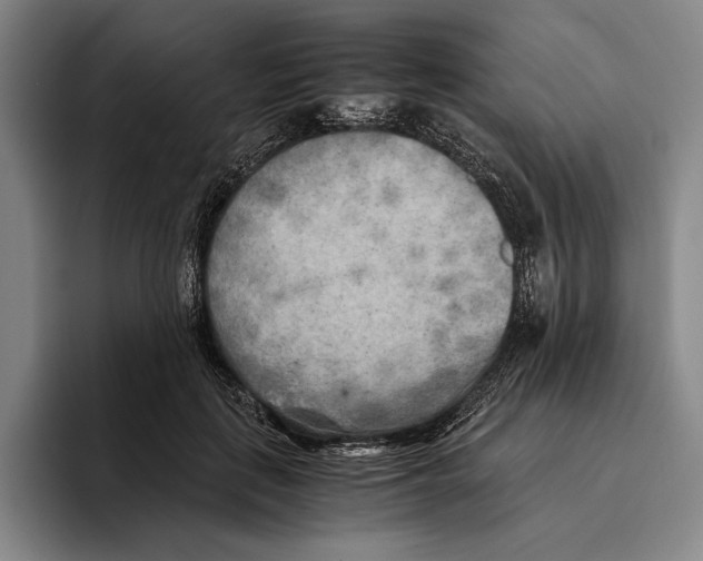 X0000096140651200802151335