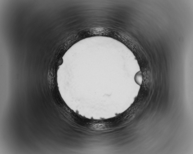 X0000096140653200802151335