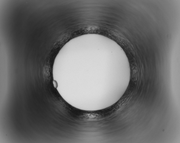 X0000096140654200802151335