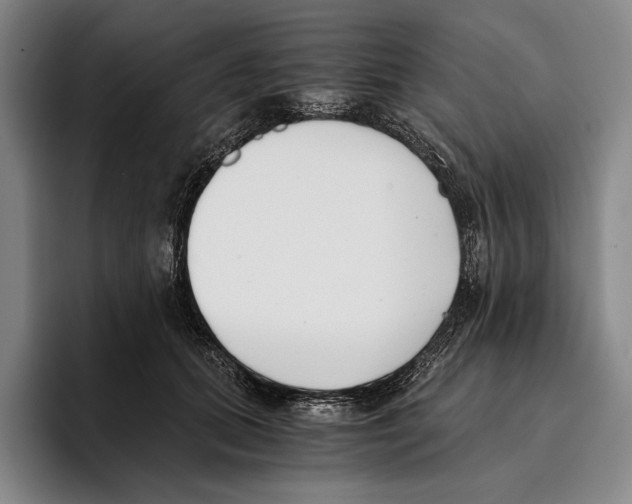X0000096140655200802151335