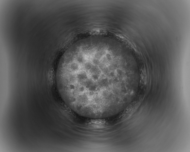 X0000096140659200802151335