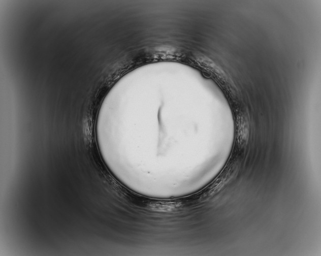 X0000096140661200802151335