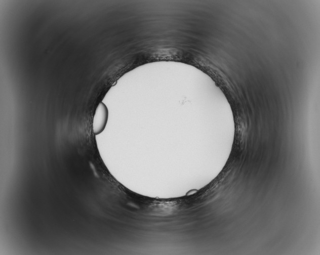 X0000096140665200802151335