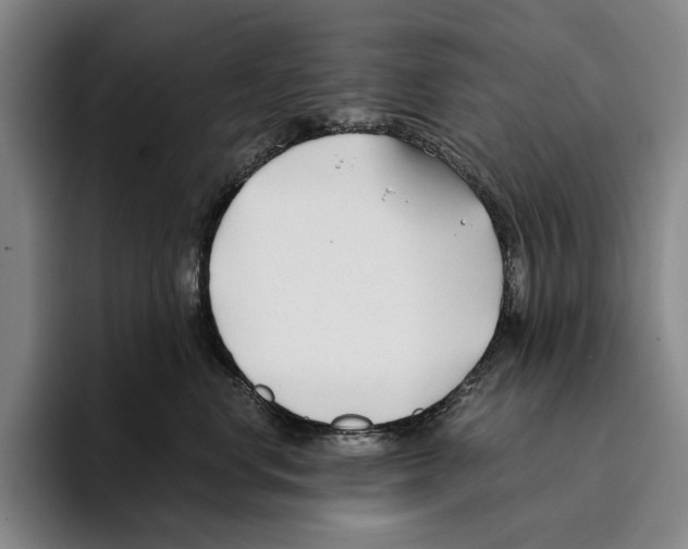 X0000096140668200802151335