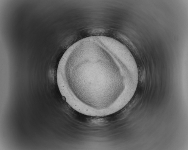 X0000096140669200802151335