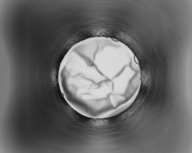 X0000096140670200802151335