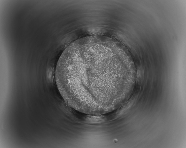 X0000096140671200802151335