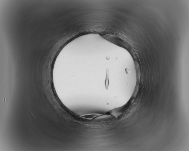 X0000096140673200802151335