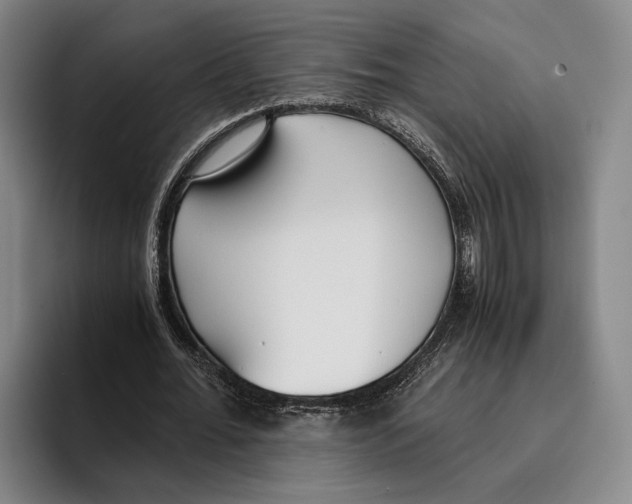 X0000096140676200802151335