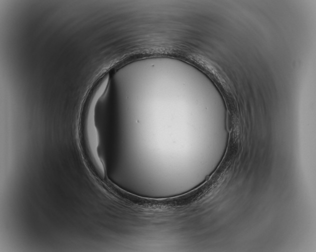 X0000096140677200802151335