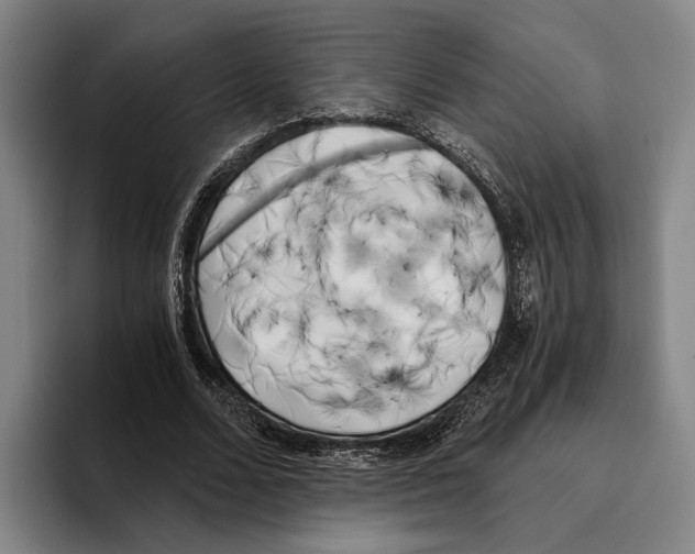 X0000096140680200802151335