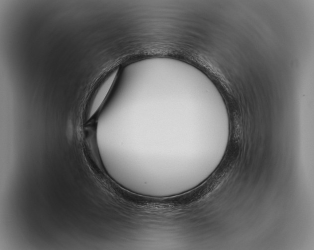 X0000096140681200802151335