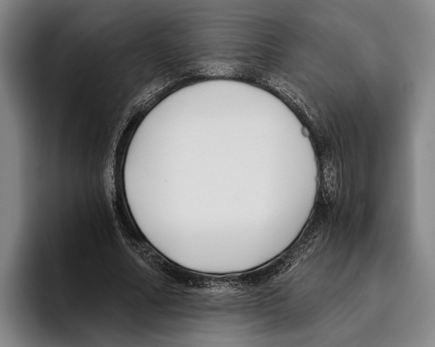X0000096140682200802151335