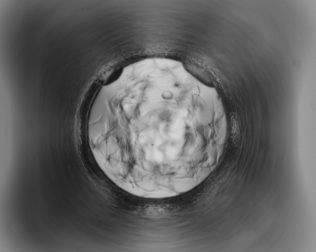 X0000096140684200802151335